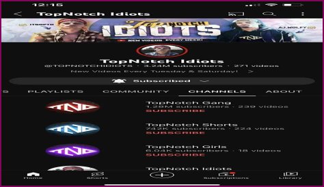 TopNotch Idiots (Web Group) - Members profile, Facts, Wiki, Achievements, Net worth 2024 (updated)